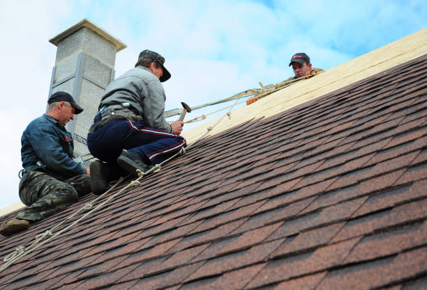 Professional Roofing Contractor in Havana, FL