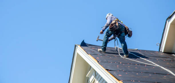 Best Roof Gutter Cleaning  in Havana, FL